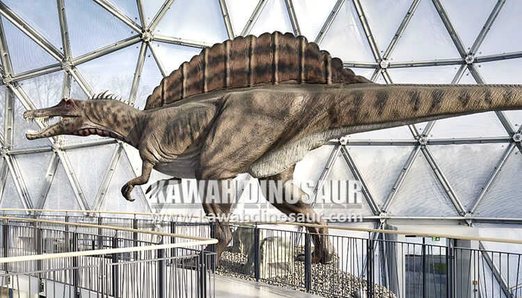 4 Spinosaurus may be aquatic dinosaur